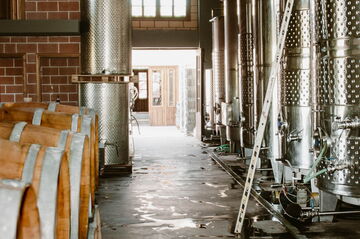 Weingut Lefkas Earth Führungen durch den Weinberg und das Weingut, mit Weinproben.